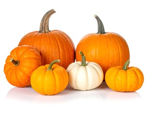 Obraz premium Pumpkins of varying sizes