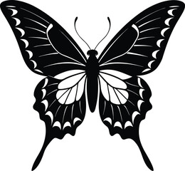 Elegant Black and White Butterfly Illustration with Intricate Wing Patterns and Details on white background