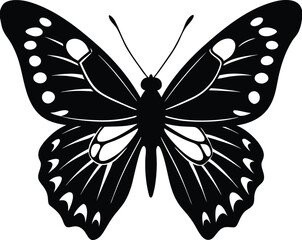 Elegant Butterfly Silhouette with Intricate Wing Patterns in Black and White on white background
