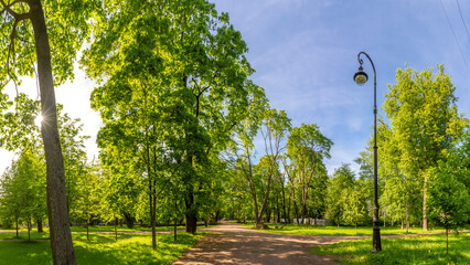 Summer day in Kamenny Island Park with sun rays through foliage illuminating gravel pathways and...