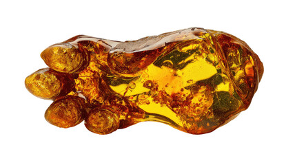 Amber fossilized animal footprint