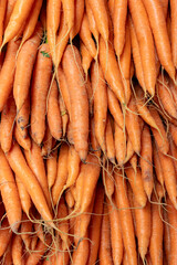 Carrots (Daucus carota sativus) displayed at selling point market