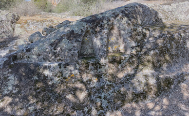 Ancient rock-cut altar with multiple niches under oak trees in Sardinia