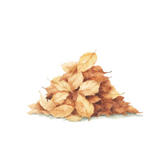 Pile of dry autumn leaves in various shades of brown and orange, cut out