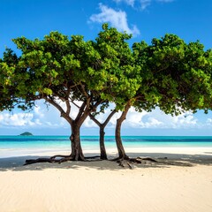 Tropical beach scene with three trees