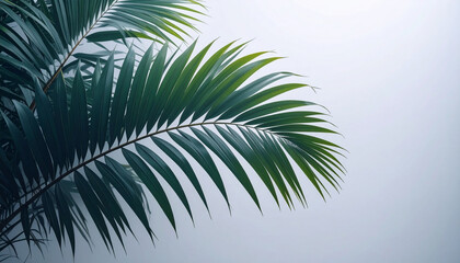 Obraz premium Lulav Palm Branch Macro Texture Detail. Sukkot concept. Generated Image