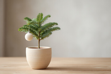 Fototapeta premium small christmas tree planted in clay pot adorned with single ornament rests gracefully