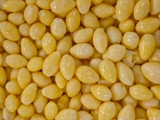 Large pile of peeled and cooked ginkgo nuts textured background.