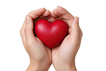 Obraz premium A red heart held gently within two hands