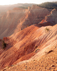 Cedar Breaks Red Slopes