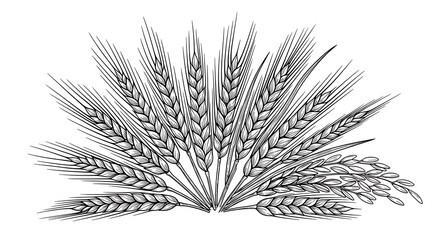 Wheat and Rice Harvest Abundance.