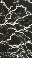 Obraz premium Abstract black and white pattern with branching veins resembling lightning bolts or tree branches on a dark background,