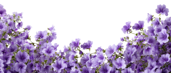 Purple flower border on black background