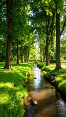 Obraz premium Lush park waterway scene