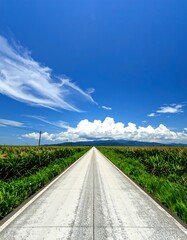 Straight road stretches into a vast, bright blue sky, framed by green fields and puffy clouds