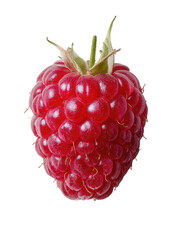 Single, vibrant red raspberry, close-up (1)