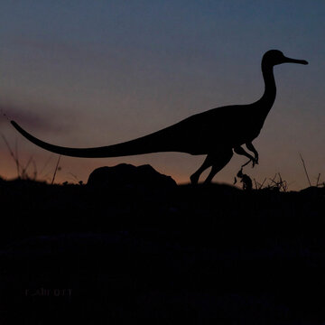 Archaeopteryx