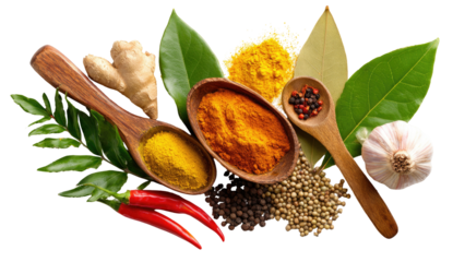 Colorful spices and herbs in wooden spoons and bowls