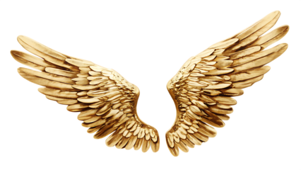 Textured Golden Angel Wings Spread Wide on Canvas golden wings ornate isolated on a transparent background