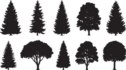 Fototapeta premium Trees silhouettes. Forest and park pines firs and spruces, coniferous and deciduous trees. Vector isolated retro images nature set