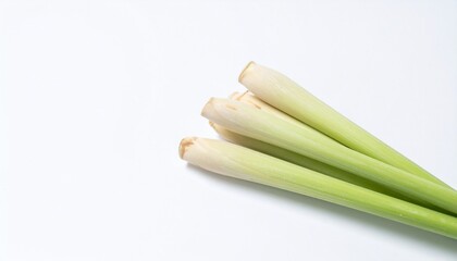 Fresh lemongrass stalks isolated on white background with minimal shadow for herbal and Southeast Asian cuisine concept
