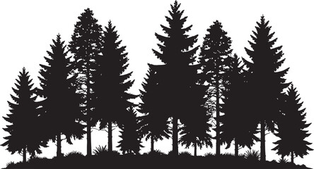 Obraz premium Dense Pine Forest Silhouette Vector with Trees, Branches, and Nature Background
