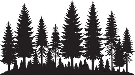 Fototapeta premium Dense Pine Forest Silhouette Vector with Trees, Branches, and Nature Background