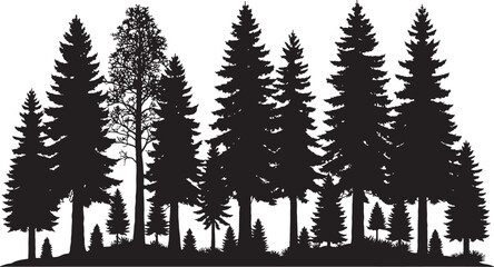 Fototapeta premium Vector art of a dense silhouette of various pine trees isolated on a transparent background