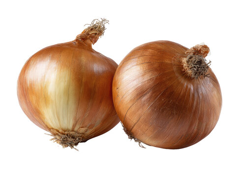 Close-up of two whole onions.  Light brown skins,  slightly paler  underneath.  Tops attached.  Isolated against black background