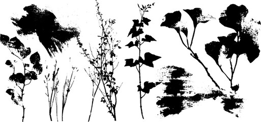 Black ink silhouette of urban plants and weeds with grunge textures for creative design