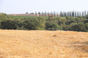 Rural landscape with cultivated land in Tuscany in Italy