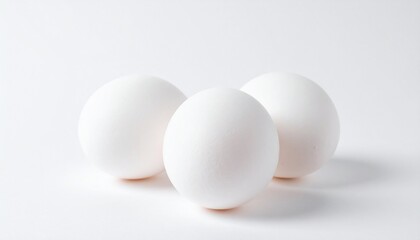 Goose Eggs on Isolated White Background &ndash; Large White Shells with Smooth Surface and Bright Studio Lighting