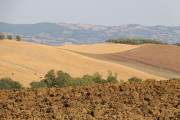 Rural landscape with cultivated land in Tuscany in Italy
