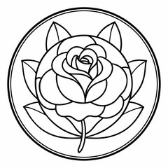 black and white rose