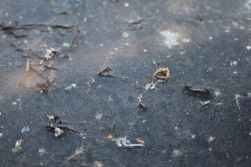 A Grungy Surface With Scattered Debris
