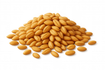 Pearl barley grains are forming a heap isolated on transparent background, ready for use in various culinary creations