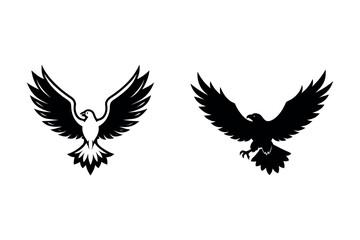 Obraz premium two birds in flight captured in artistic silhouette