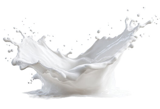 Milk splash, creamy white, dynamic, and fluid