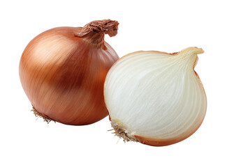 Two whole and cut onions.  One whole, one halved,  showing interior layers.  Both have a light brown/tan outer skin