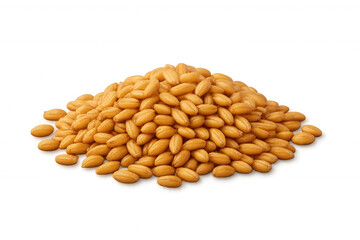 Golden wheat grains are piled, creating a small mound, isolated on a transparent background, ready for creative projects
