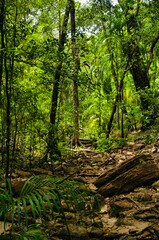 Dry, stoney riverbed in the jungle of the remote Kakadu National Park, Northern Territory, Australia. Along the Kubara Pools Walk
