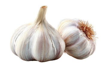 Obraz premium Two whole heads of garlic, close-up, against a black background. The bulbs are light gray-white with reddish-brown accents on their outer layers. Stems are visible