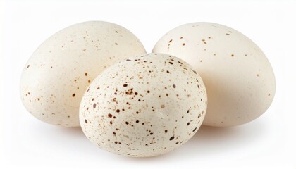 Guinea Fowl Eggs on Isolated White Background – Speckled Creamy Shells with Textured Surface and Macro Studio Lighting