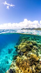 Naklejka premium Underwater coral reef scene with clear blue water and sunlight