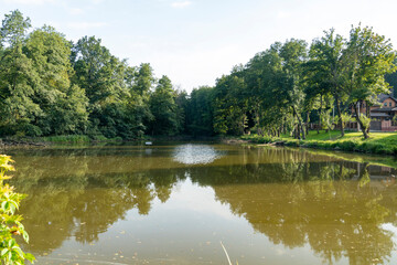 Fototapeta premium Forest trees reflected in calm lake water with green grass in foreground. Landscape nature photography. Summer season outdoor and eco tourism concept for design and print