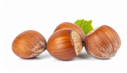 Hazelnuts on Isolated White Background – Round Brown Nuts with Matte Finish and Botanical Composition