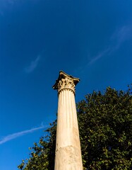 Ancient column against clear sky, tree visible below