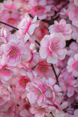 A close-up of delicate pink artificial cherry blossoms (sakura) with intricate petal details and subtle fabric textures. Ideal for events, weddings, or interior design projects seeking a natural yet t