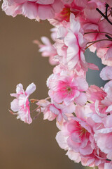 A close-up of delicate pink artificial cherry blossoms (sakura) with intricate petal details and subtle fabric textures. Ideal for events, weddings, or interior design projects seeking a natural yet t