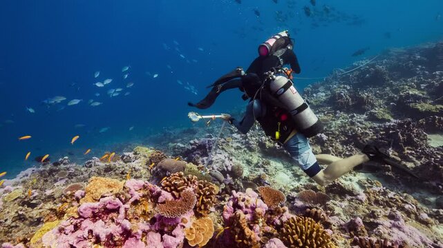 Two Marine Biologists conduct research on the reef of Canton Island, Kiribati